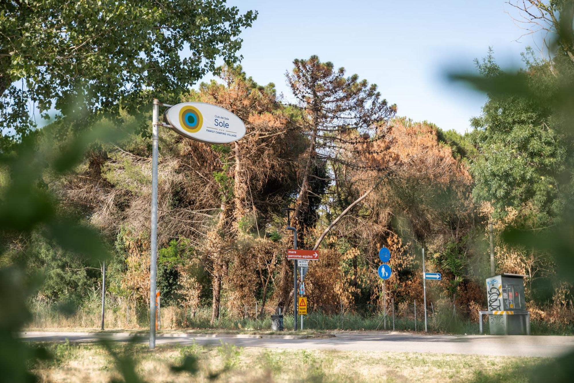Club Del Sole Marina Romea Easy Camping Village Exterior foto